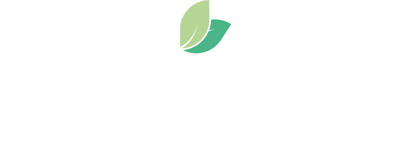 Mint Scan Logo